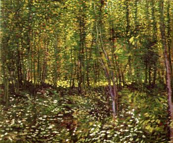 Vincent Van Gogh : Undergrowth